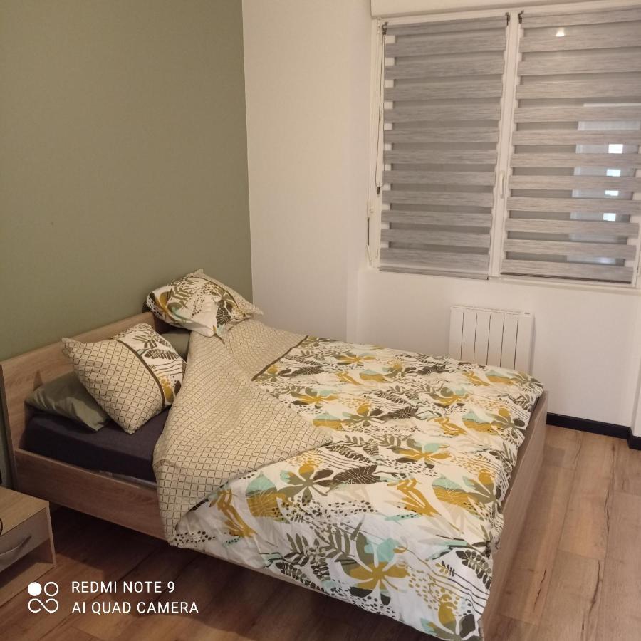 Maisonnette Tout Confort Parking Prive Brest Exteriör bild